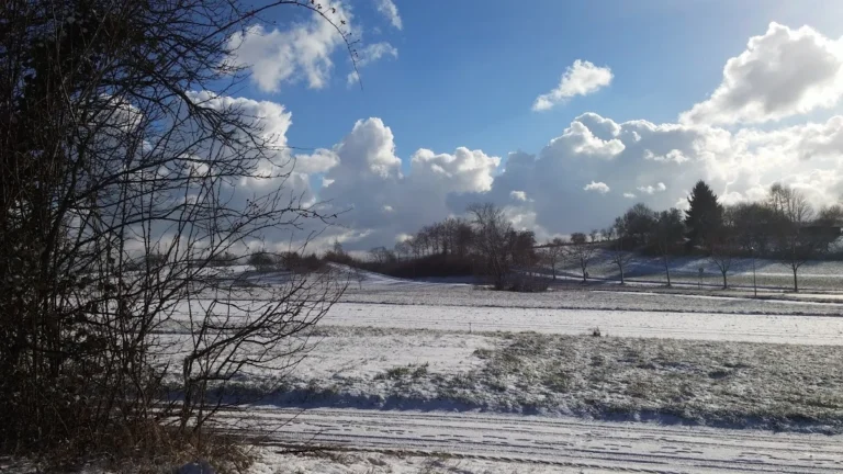 Achim Rau, Kfz-Meisterbetrieb