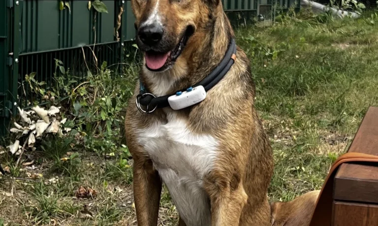 AniCura Hamburg Niendorf GmbH