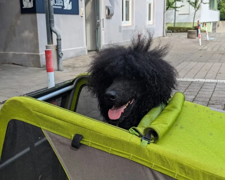 AniCura Kleintierpraxis Bremen