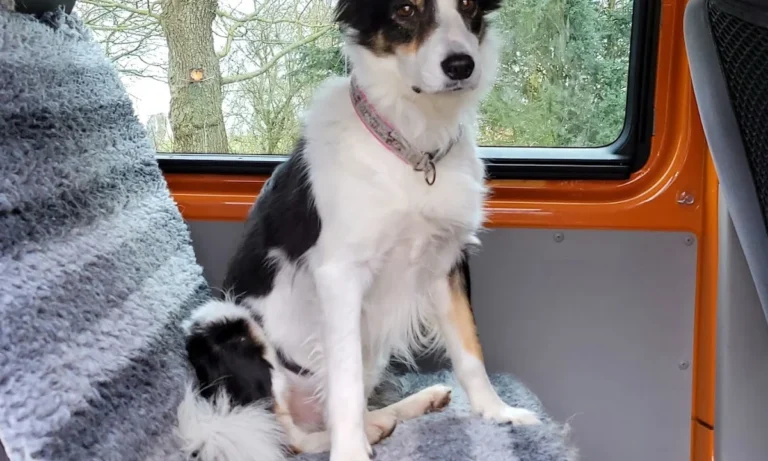 AniCura Tierärztliche Spezialisten Hamburg