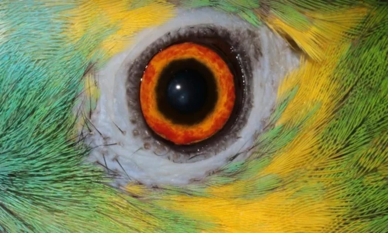 AniCura Tierärztliche Spezialisten Hamburg