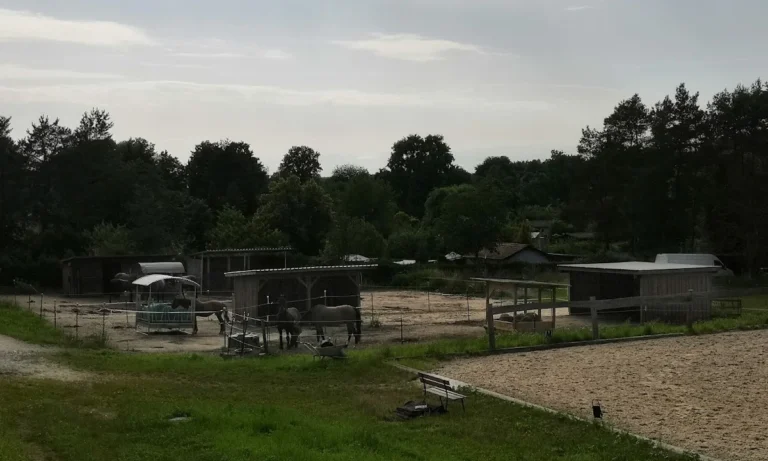 AniCura Tierärztliches Fachzentrum Bamberg