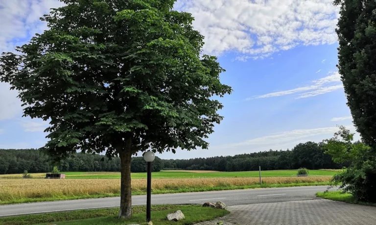 AniCura Tierärztliches Fachzentrum Bamberg