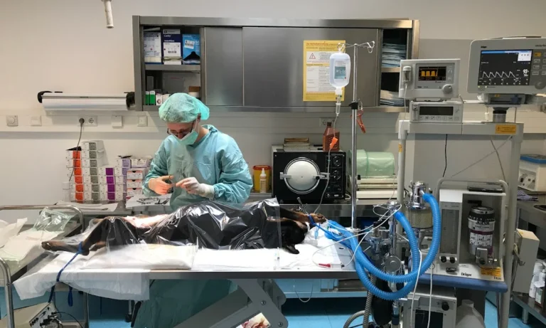 AniCura Tiergesundheitszentrum Jena GmbH