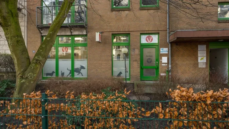 AniSana - Fachpraxis für Kleintiere