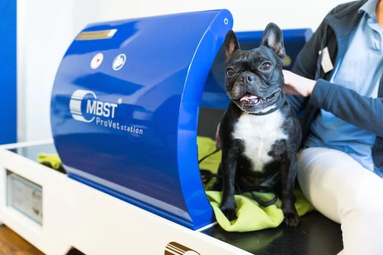 AniSana - Fachpraxis für Kleintiere