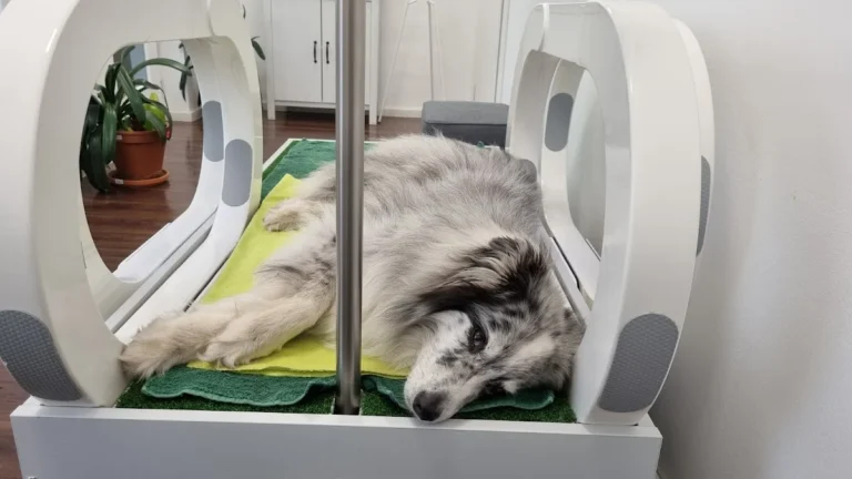 AniSana - Fachpraxis für Kleintiere