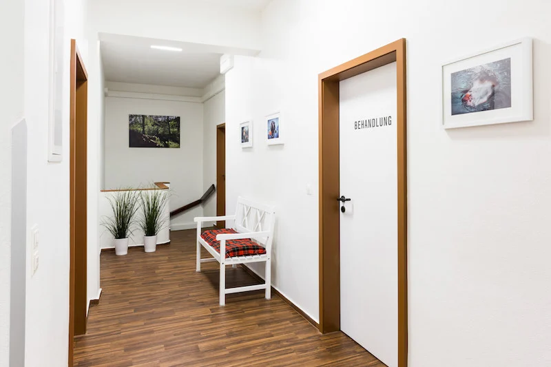 Tierarzt AniSana – Fachpraxis für Kleintiere Kiel