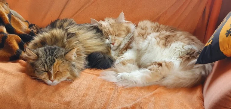 Astrid Ehme Tierarztpraxis