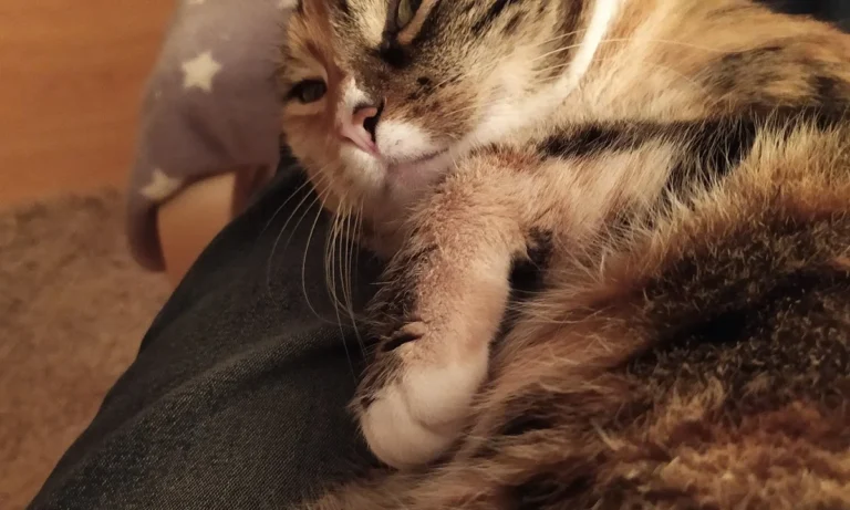 Astrid Ehme Tierarztpraxis