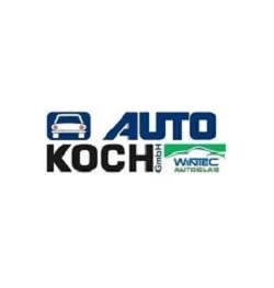 Auto-Koch Autoinstandsetzung