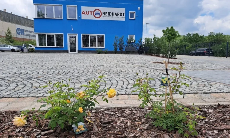 Auto Neidhardt
