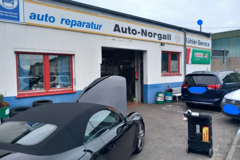 Auto Norgall