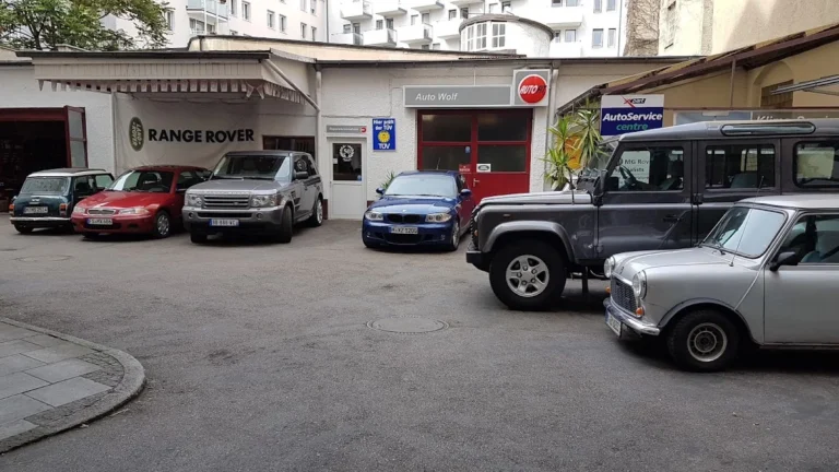 Auto Wolf GmbH Autofit