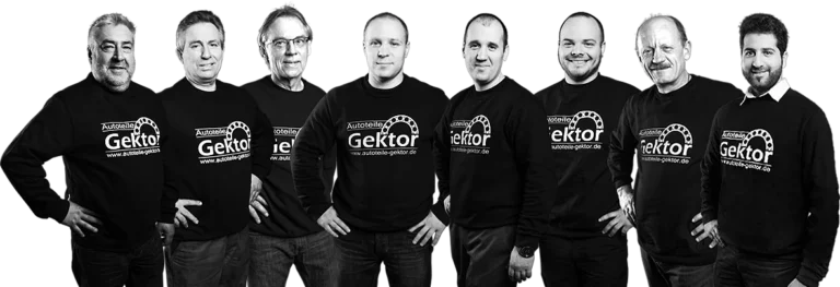 Autoteile Gektor Kfz-Teile Großhandel / Kfz-Werkstatt / Kfz-Handel