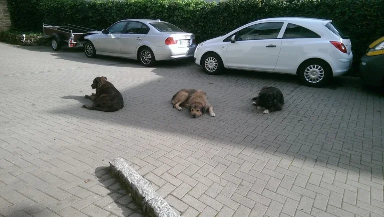 Autowerkstatt Achim Nagel - Kfz-Service