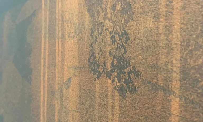 Baudekoration Schulz UG