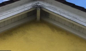 B&B Bautenschutz Maler Freiburg