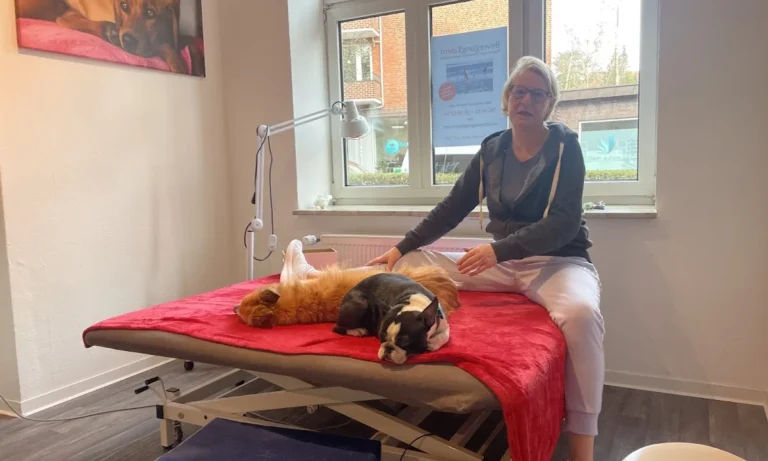 BewegungsTalent Tierphysiotherapie