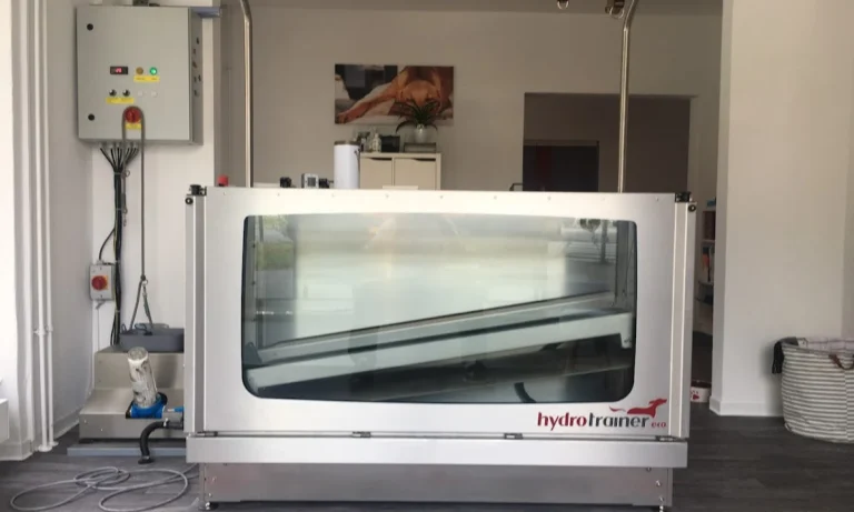 BewegungsTalent Tierphysiotherapie