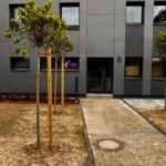 Birkenhauer Elektrotechnik GmbH