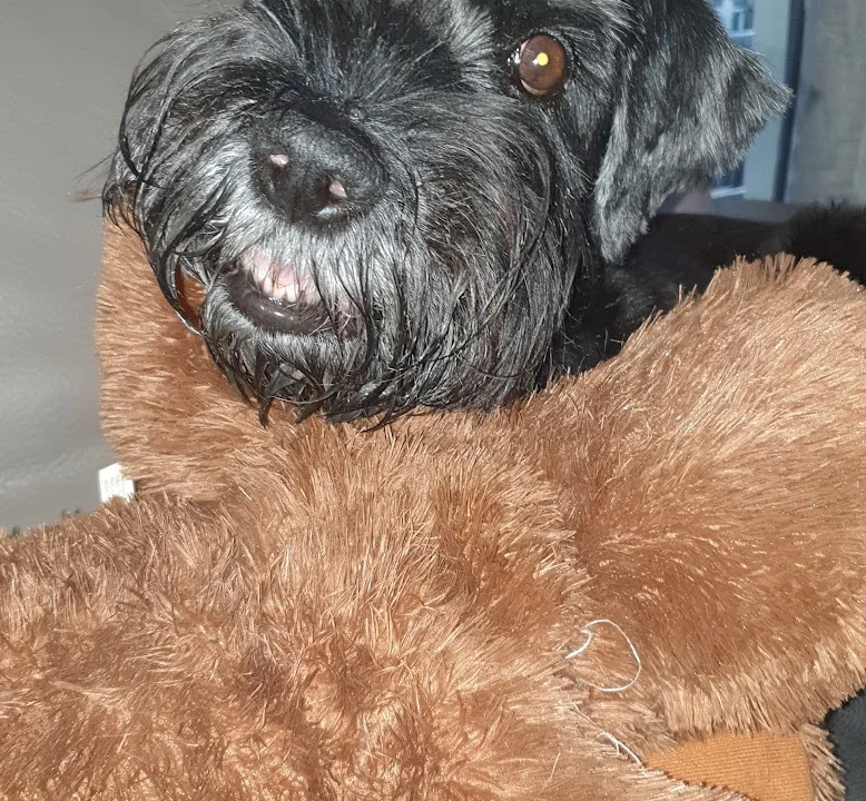 Tierarzt Bley Annette Tierärztin Bremen