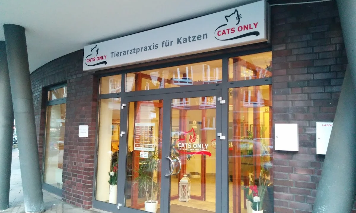 Tierarzt Cats Only -Tierarztpraxis für Katzen Hamburg