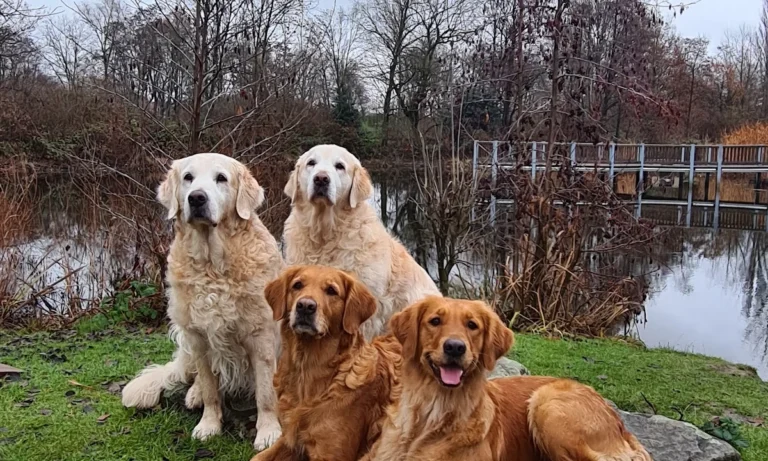 Claudia Gottesbühren