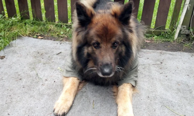 Claudia Gottesbühren