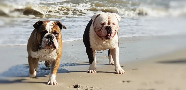 Claudia Gottesbühren