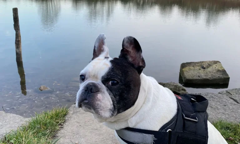 Claudia Gottesbühren