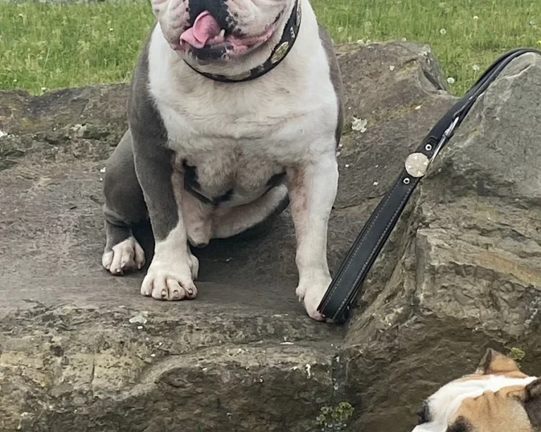 Claudia Gottesbühren