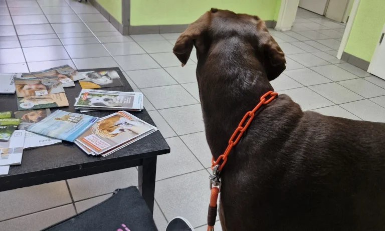 Claudia Gottesbühren