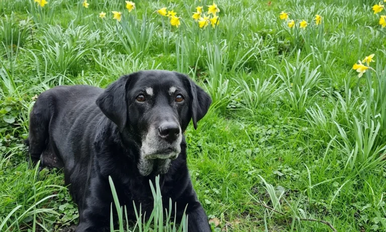 Claudia Gottesbühren