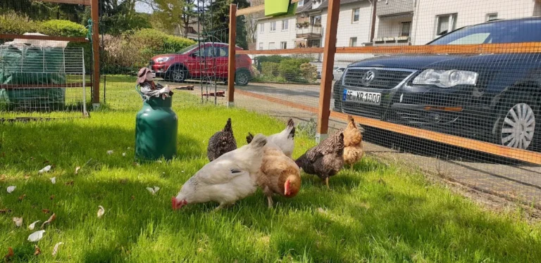 Claudia Gottesbühren