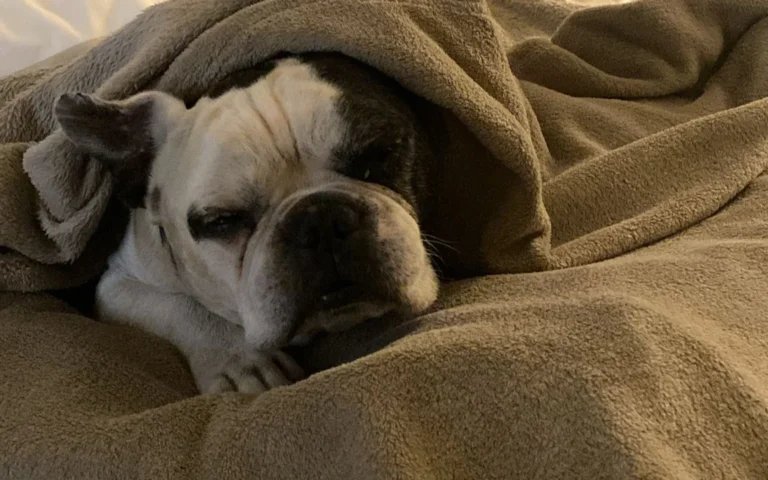 Claudia Gottesbühren