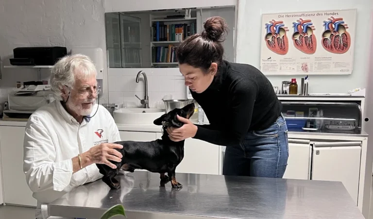 D. Kauffmann - H22 Tierarzt Hamburg Uhlenhorst