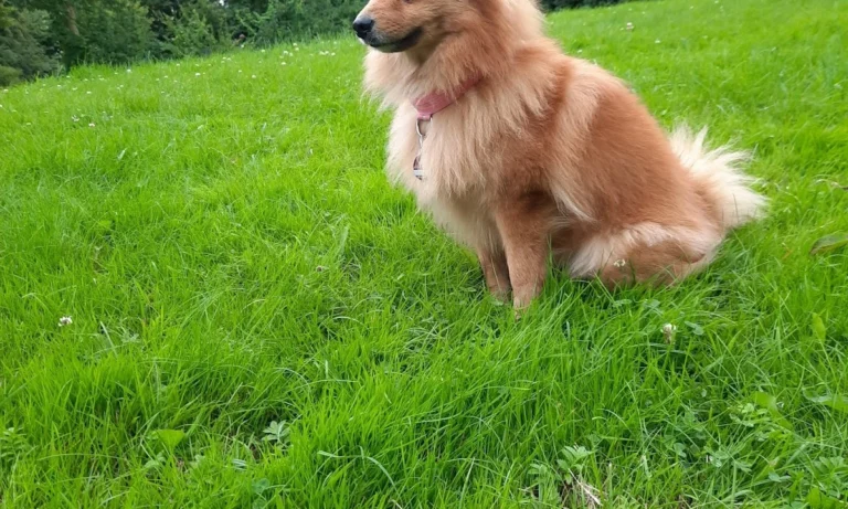 D. Kauffmann - H22 Tierarzt Hamburg Uhlenhorst