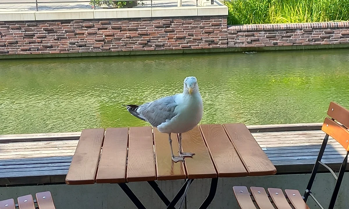 Fensterbauer Das Fenster Einrichtungen GmbH Kiel