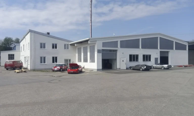 Delorean Deutschland team-deloman