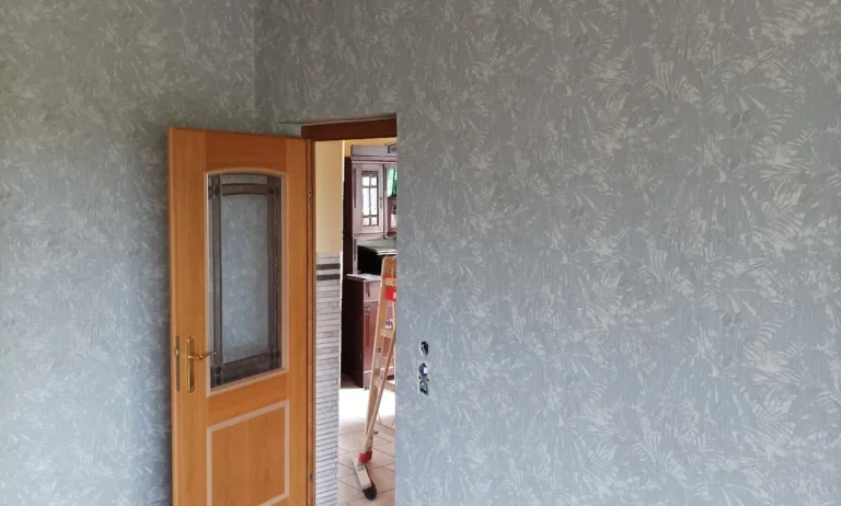 Die Schoenfärberei / Maler Leipzig