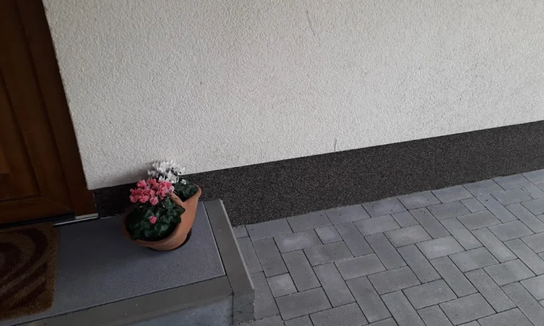 Die Schoenfärberei / Maler Leipzig