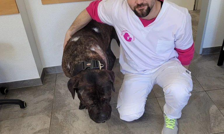 Die Tiernotdienst Praxis Solingen