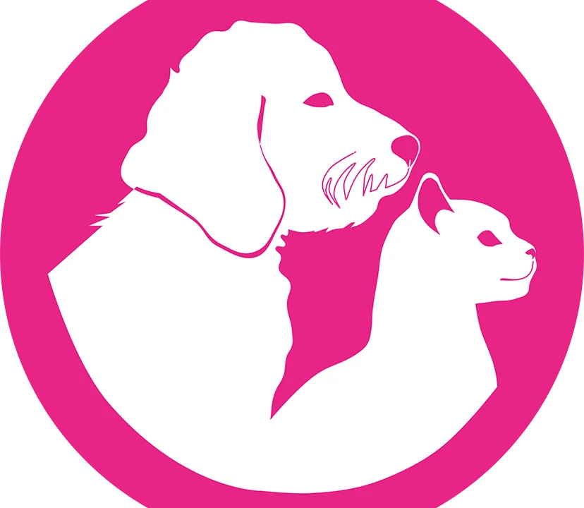 Tierarzt Die Tiernotdienst Praxis Solingen Solingen