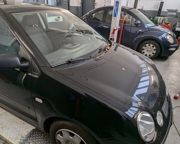 Dolce & Wagner Auto Service GbR