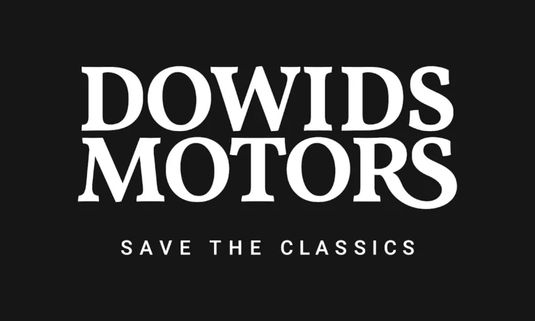 DOWIDS MOTORS Kfz-Meisterwerkstatt