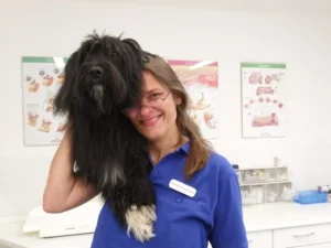 Dr. Bettina Stemmermann, Tierärztin