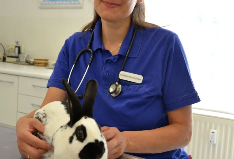Dr. Bettina Stemmermann, Tierärztin