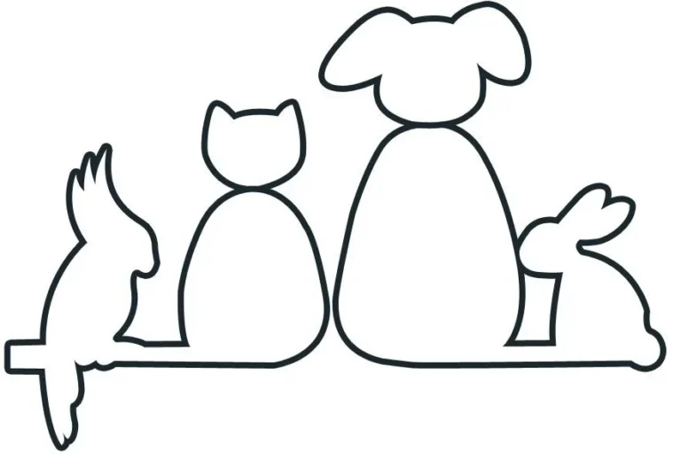 Dr. Bettina Stemmermann, Tierärztin