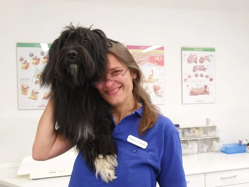 Tierarzt Dr. Bettina Stemmermann, Tierärztin Dresden